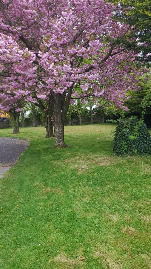 Beechwood House ,Apartment C15Ya44 Slane Bagian luar foto