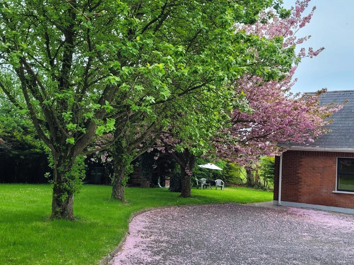 Beechwood House ,Apartment C15Ya44 Slane Bagian luar foto