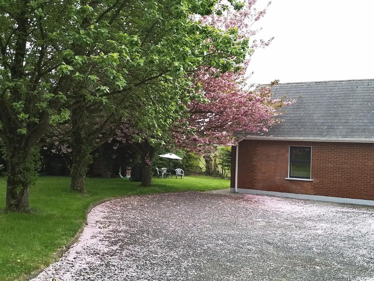 Beechwood House ,Apartment C15Ya44 Slane Bagian luar foto